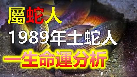 66年次屬蛇|生肖蛇: 性格，愛情，2024運勢，生肖1989，2001，2013